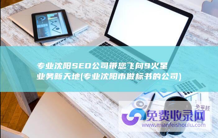 专业沈阳市做标书的公司