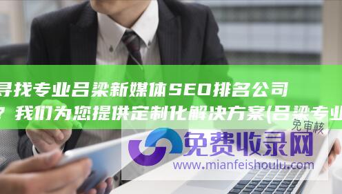 寻找专业吕梁新SEO排名公司