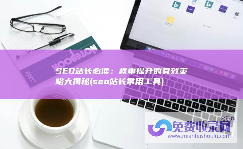 SEO站长必读：权重提升的有效策略大揭秘 (seo站长常用工具)