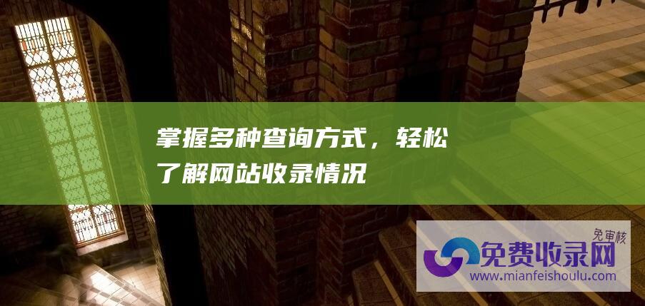 掌握多种查询方式，轻松了解网站收录情况！