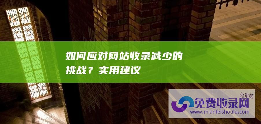 如何应对网站收录减少的挑战？实用建议