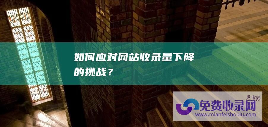 如何应对网站收录量下降的挑战？