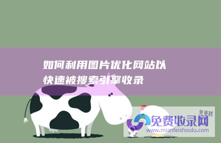 如何利用图片优化网站以快速被搜索引擎收录