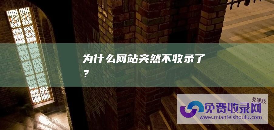 为什么网站突然不收录了？