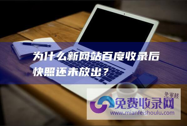 为什么新网站百度收录后快照还未放出？