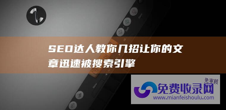 SEO达人教你几招让你的文章迅速被搜索引擎