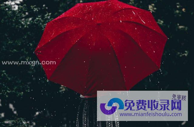 梦见下雨 (梦见下雨房顶漏水什么预兆)