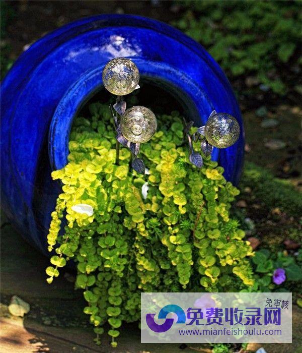 梦见往花盆里栽花 (梦见往花盆里栽花是什么意思)