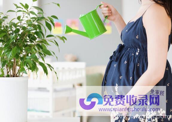 孕妇梦见白馒头 (孕妇梦见白馒头是什么意思)