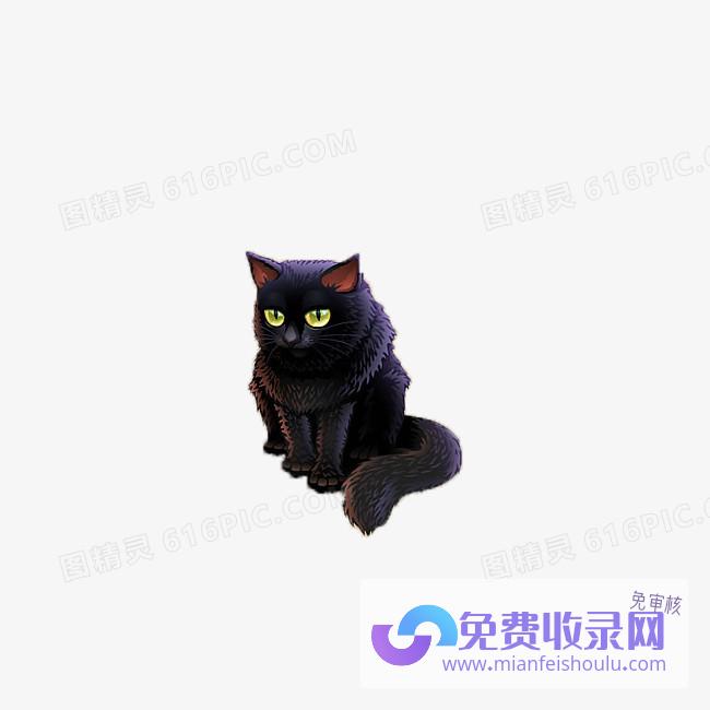 梦见一只黑猫