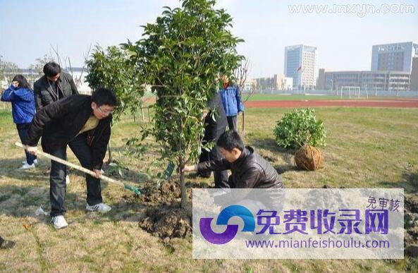 女人梦见从树上摘葡萄 (女人梦见从树上摘枣)