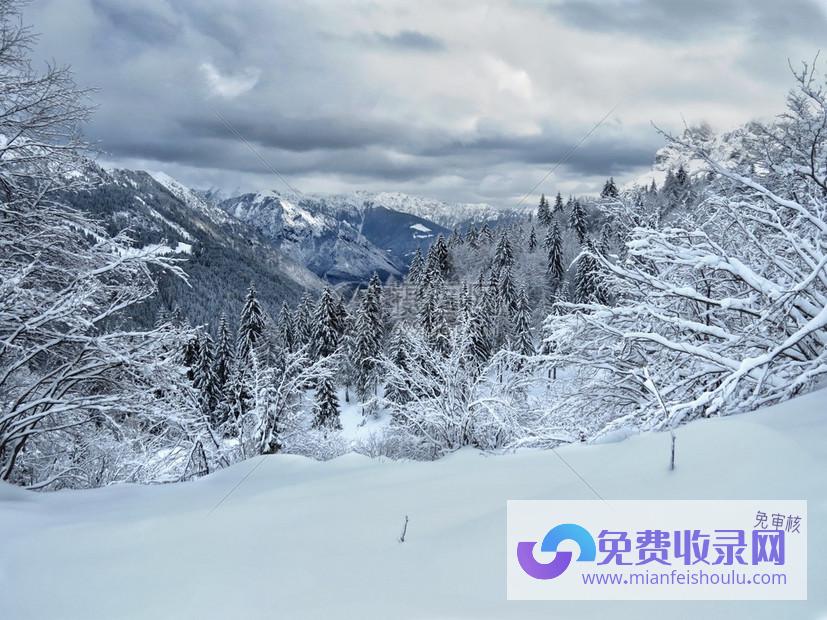 梦见山上有雪是什么征兆 (梦见山上有雪是什么意思)