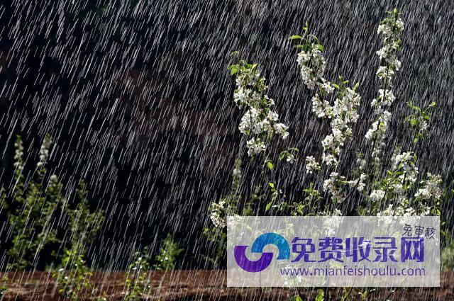 梦见自己在雨中行走 (梦见自己在雨中行走是什么意思)