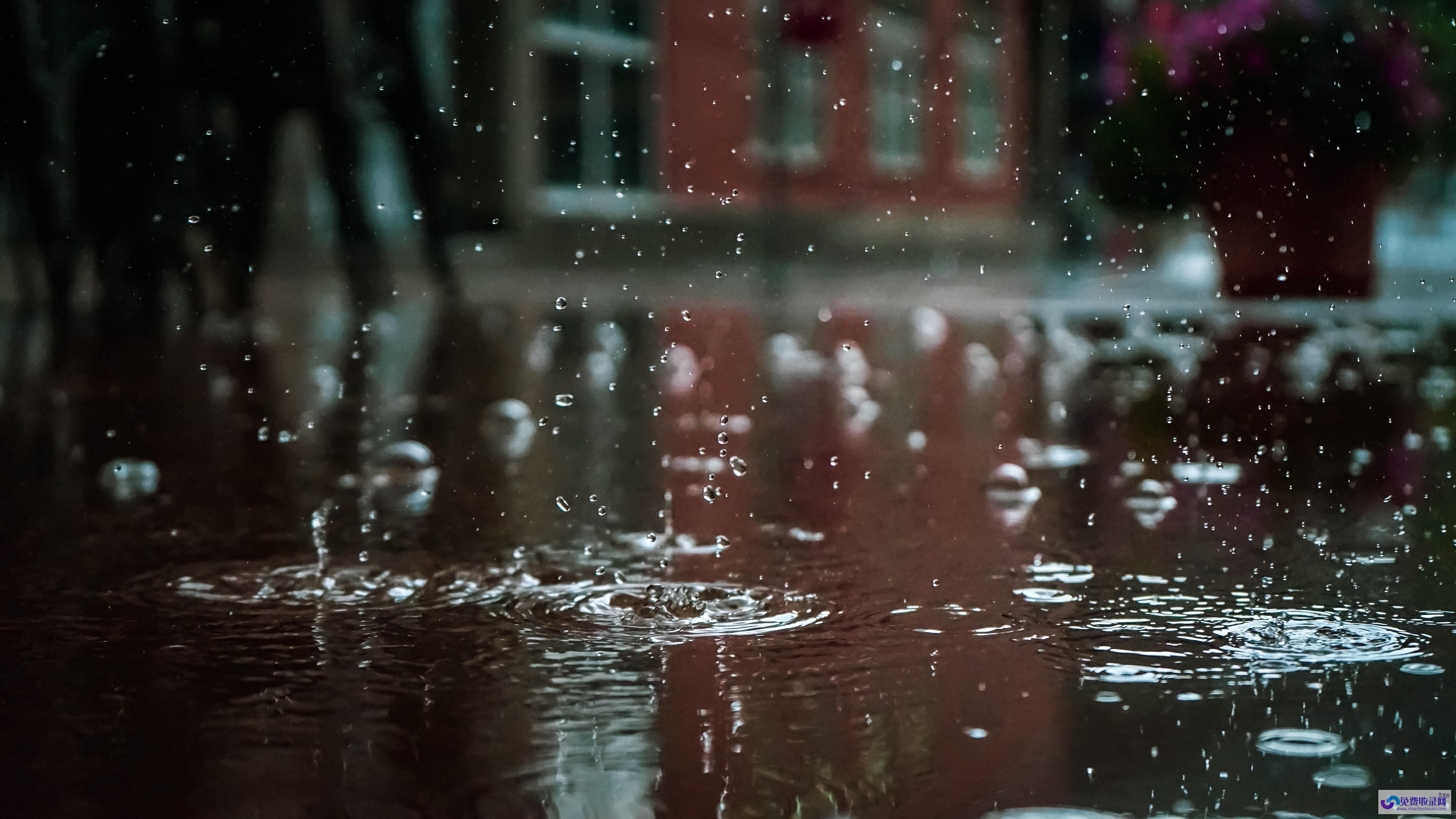 梦见在大雨中奔跑 (梦见在大雨中奔跑是什么预兆)